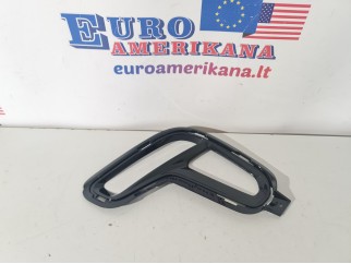 Fog Lamp Bezel, Left